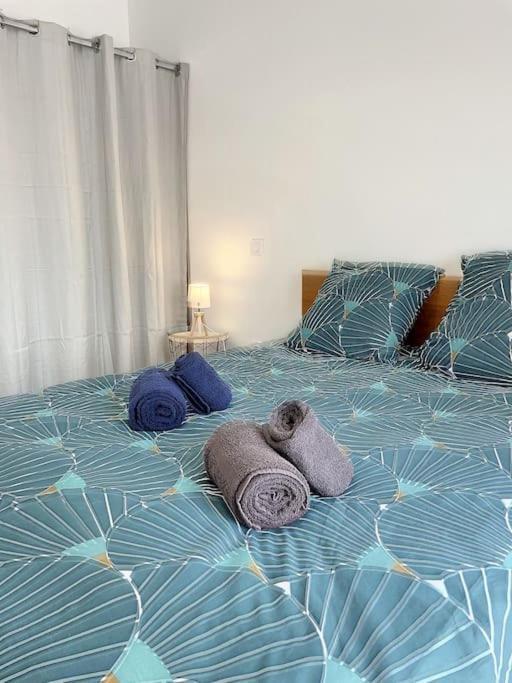 La Metairie Du Chateau - Sublime T3 Apartment Villefranche-de-Lauragais Ngoại thất bức ảnh